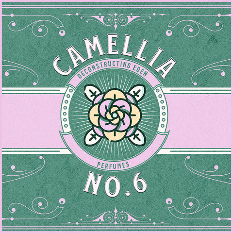 Camellia No. 6