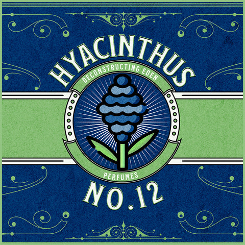 Hyacinthus: No. 12