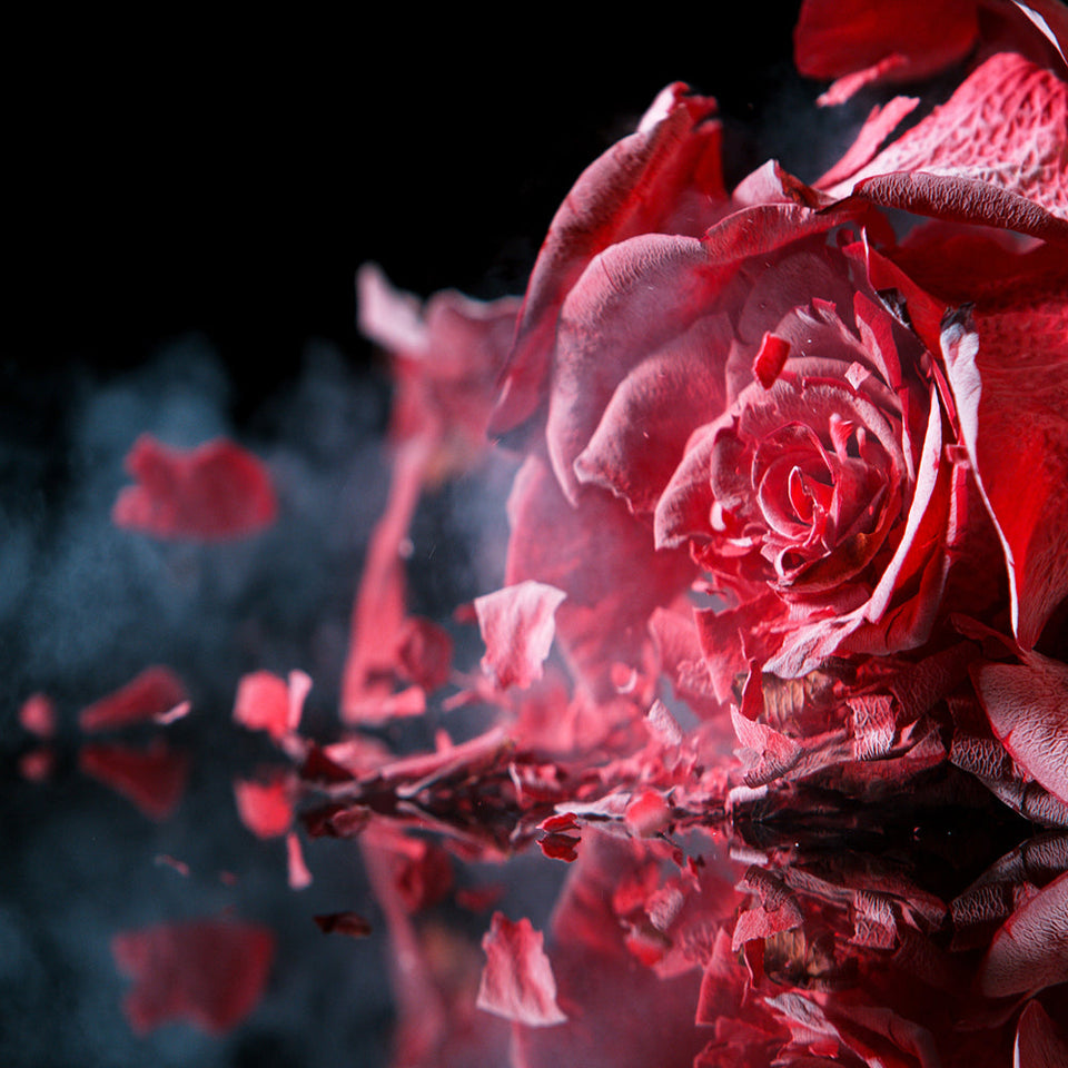 Délit de Fleurs