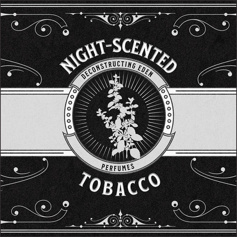 Returning: Night-Scented Tobacco