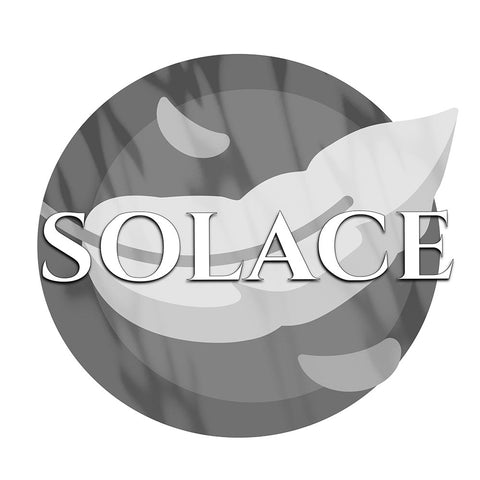 Solace  (B-Side)